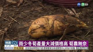 天熱蔬菜生長快 供過於求價格崩｜華視新聞 20210209