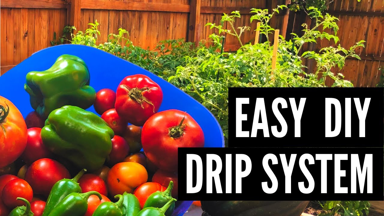 Easy Garden Drip Irrigation System - YouTube