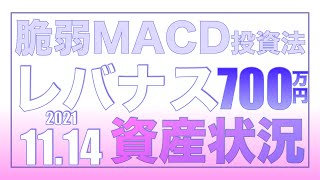 脆弱MACD投資法、完璧な投資法はない11.14【資産状況】一括投資700万円の結果