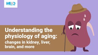 Understanding the physiology of aging: changes in kidney, liver, brain, and more