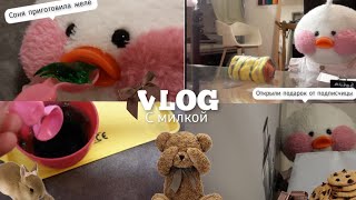 VLOG с милкой (приготовили желе/открыли подарок от подписчицы/зделали уроки)