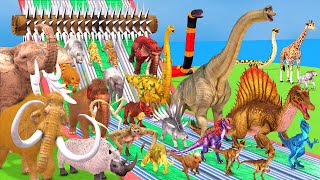 Prehistoric Mammals Mammoth vs Dinosaurs vs Reptiles Be Fast and Run Away from S