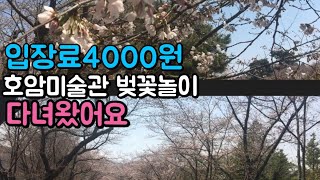 그녀의하루 | 호암미술관 벚꽃놀이 입장료내고 들어갈만할까? 삼성임직원할인 용인벚꽃놀이추천 아기와가볼만한곳 일상브이로그 VLOG