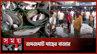 ফেনী পৌর মৎস্য আড়তে জমে উঠেছে মাছের বেচাকেনা | Feni Fish Market | Somoy TV