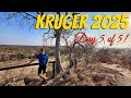 Kruger National Park - Day 5 of 5! Ep 667