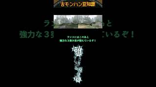 古モンハン豆知識、笛と同じモーション値選手権