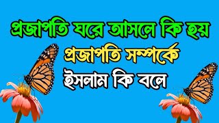 প্রজাপতি ঘরে আসলে কি হয় | প্রজাপতি ঘরে আসা কিসের লক্ষণ | প্রজাপতি সম্পর্কে ইসলাম কি বলে |