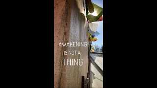 Awakening is not a thing - Zen teacher Hogen