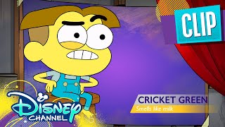 The Room Reality | Big City Greens | Disney Channel Animation