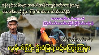 သေခါနီး အစွဲတစ်ခုကြောင့် ကြက်တစ်ကောင်အဖြစ် ဘဝဟောင်းမိသားစုထံ ပြန်ဝင်စားခဲ့တဲ့ လူမိုက်ကြီး ဦးစံမြ