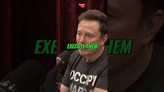 Elon and Joe Rogan talk Peanut The Squirrel | Trump