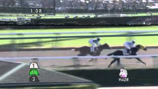 2010.12.04 中山2R　2歳未勝利　レイナカスターニャ