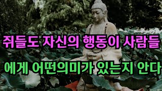 쥐들도 자신의 행동이 사람들에게 어떤 의미가 있는지 안다 l 현대인을 위한 부처님의 진리 말씀 l 삶의 길잡이가 될 지혜의 등불