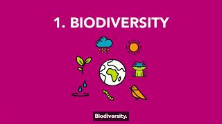 Spatial Development Frameworks - Environment (English)