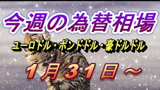 【TAKA FX】ユーロドル、ポンドドル、豪ドルドルの今週の為替相場の動きと来週の展望をチャートから解説。1月31日～