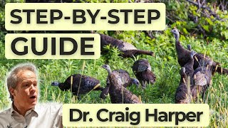 Managing nesting & brooding cover | Ep 137