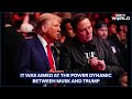 trump musk kiss truth behind trump kissing musk s feet viral video that played in us govt office