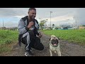 nigel gobin d dog and cat official music video 2024 chutney soca