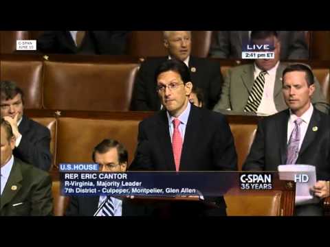 What do floor leaders in Congress do?