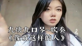 九块九口琴~吹奏《像我这样的人》