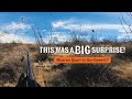 The WILDEST Place I’ve Ever Hunted! Mearns Quail Surprise?