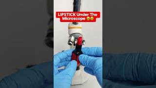 LIPSTICK Under The Microscope!🤮🤢