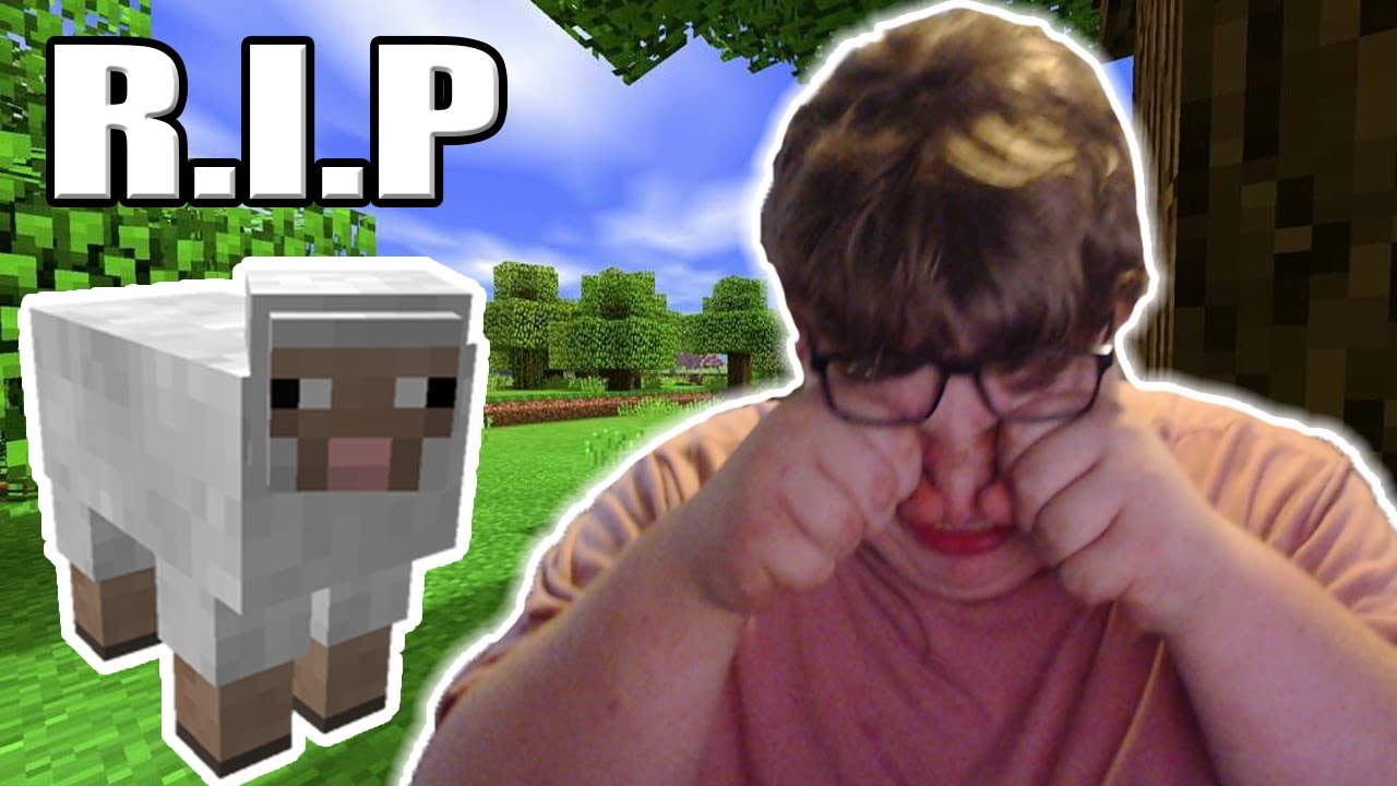 I FOUND MY SHEEP IN MINECRAFT (MINECRAFT PART 2) R.I.P MR SHEEP - YouTube