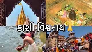 કાશી વિશ્વનાથ જ્યોતિર્લિંગ બનારસ 🙏| #kashivishwanath #mahadev #banaras #viralvideo #prayagraj