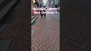 서울 명동거리에서 크리스마스 이브의 정경을 담아 봤습니다. 젊은날의 명동과 오늘의 명동은 모양과 느낌이 다릅네요. 세월이 야속하지만 내게는 고맙고 감사하다. 예수님 오신날 축복의날