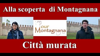 Montagnana Tour: discovering the medieval Venetian town