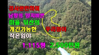 (좋은임야매매2,500만원)경사완만하며/남향의 양지바른 마을뒤산/개간가능한임야/1,115평2,500만/정선부동산/정선토지/정선임야