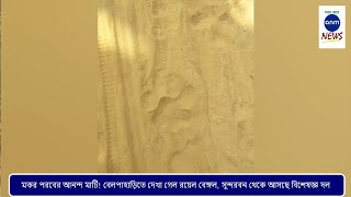 মকর পরবের আনন্দ মাটি! বেলপাহাড়িতে দেখা গেল রয়েল বেঙ্গল, সুন্দরবন থেকে আসছে বিশেষজ্ঞ দল