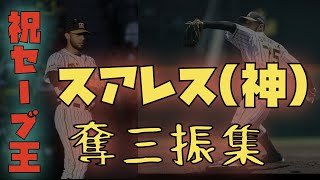 【2020年最多セーブ記念】スアレス(神)、平均球速156 km右腕 奪三振集
