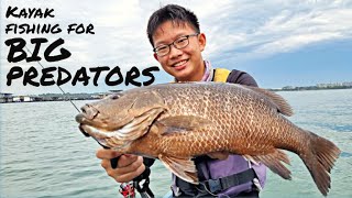 Kayak Fishing for BIG PREDATORS at Pulau Ubin | Singapore Kayak Fishing |  SGFishingRigz