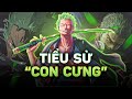 ONE PIECE | ZORO LÀ AI? VUA ĐỊA NGỤC - KẺ XƯNG VƯƠNG THỨ HAI CỦA BĂNG MŨ RƠM