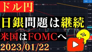 【ドル円】日銀政策問題は今後も継続。米国はブラックアウト期間へ。🐥2023/01/22🐥