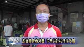 鹿谷農會春茶賽 今年共計4976件參賽 南投新聞