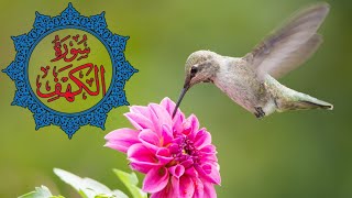 Surah Kahf (Al-Kahf) | Surah 018 | Ep. 001 | Beautiful Recitation Quran Tilawat Voice