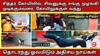 மண்ணுருட்டி சித்தர் கோயில்/Mannuruti Siddhar Koil/Bally's View|2020