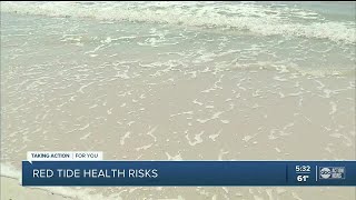 Local researchers use new technology to kill red tide blooms