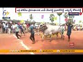 కోడూరుపాడులో బండలాగుడు ఎడ్ల పోటీలు bull race organized by tdp at kodurupadu