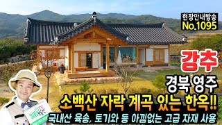 (강추) 소백산 자락 계곡 있는 한옥입니다!! 경북 영주 한옥 전원주택 매매 국내산 육송과 고급 토기와 등 한옥의 진면목과 전통이 살아 있는 편안함 영주부동산 - 발품부동산TV