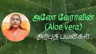 அலோவேராவின் அற்புத பயன்கள் | Aloe vera | Dr.S.Revathi's Vlog