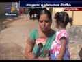 indiramma colony incomplete houses u0026 lack of basic amenities haunts residents at miryalaguda