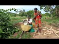 African Village Life//Cooking Most Delicious Village Food//Chicken Biriyani