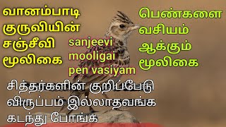 Vanambadi paravai/வானம்பாடி குருவின் சஞ்சீவி மூலிகை /sanjeevi mooligai