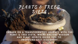 Plants \u0026 Tree Dieta, Spiritual Guidance from Nature’s Allies