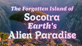 The Forgotten Island of Socotra: Earth's Alien Paradise