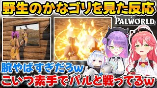 【3人視点】野生のゴリラを見つけて爆笑するトワ様と素手でパルに殴りかかってるかなたんを見て捕まえようとするみこちｗ【ホロライブ/天音かなた/常闇トワ/さくらみこ】