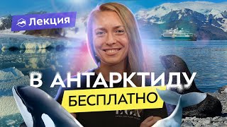 Как стать гидом в Арктике и Антарктиде: путешествуем по полюсам